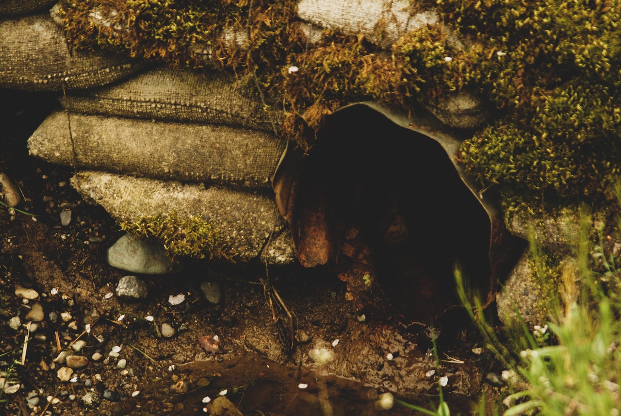 Restore Your Pipes Quickly with a High Pressure Drain Unblocker