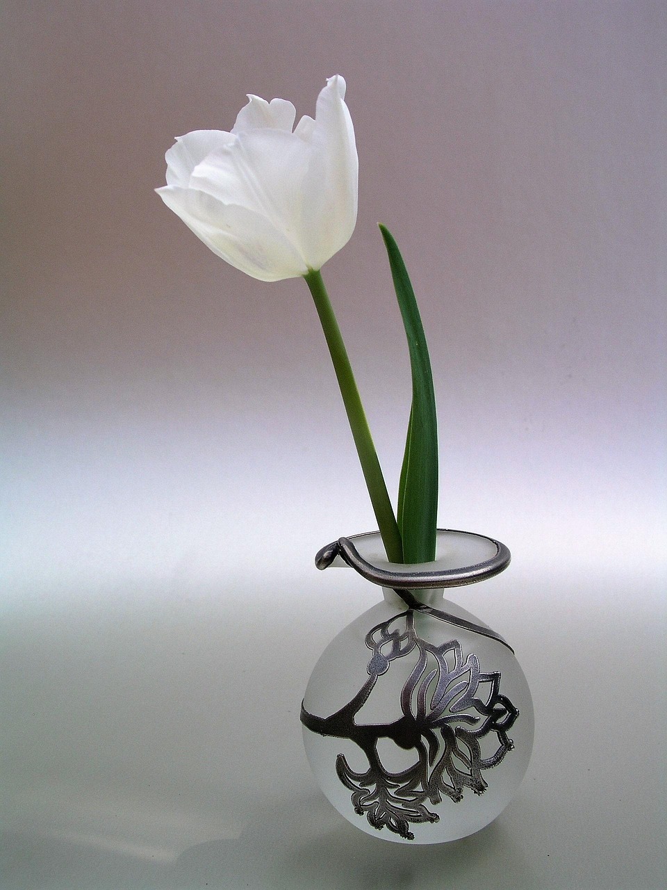 Personalized Sympathy Trees for Meaningful Tributes