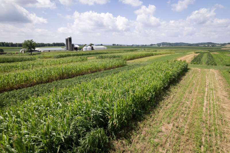 Understanding the Role of PRF crop insurance for Modern Farming Operations