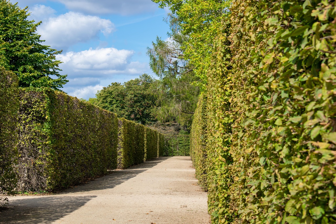 Navigating the Financial Maze: Understanding New York Tax Rates and Their Impact on Your Finances