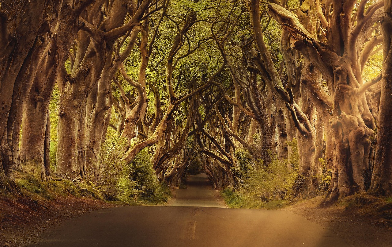 The Weight of the Road: Understanding Trucking Accidents and the Path to Justice