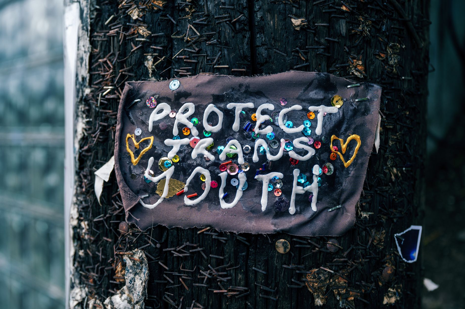 US scraps transgender health safeguards
