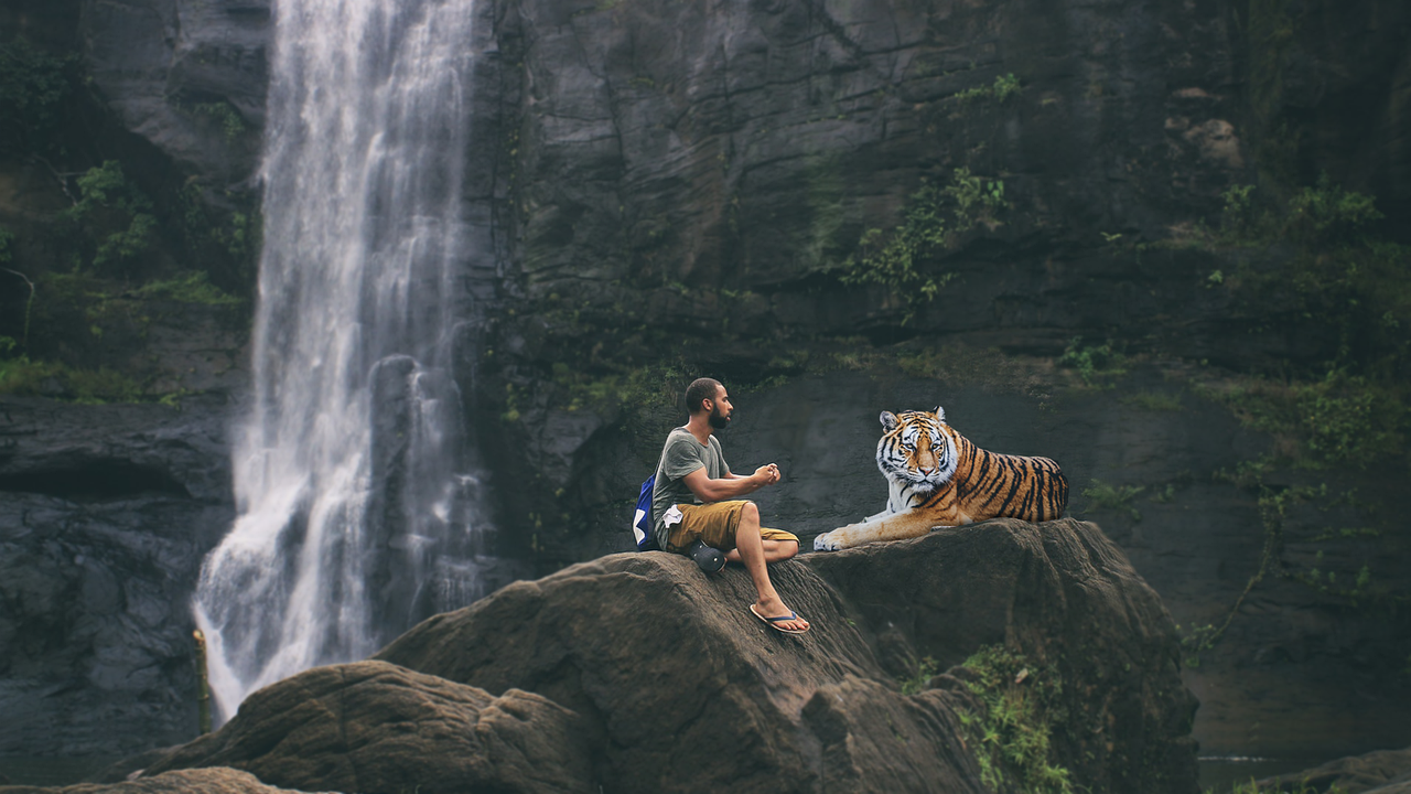 How to Tell Your Brand’s Story Through Content