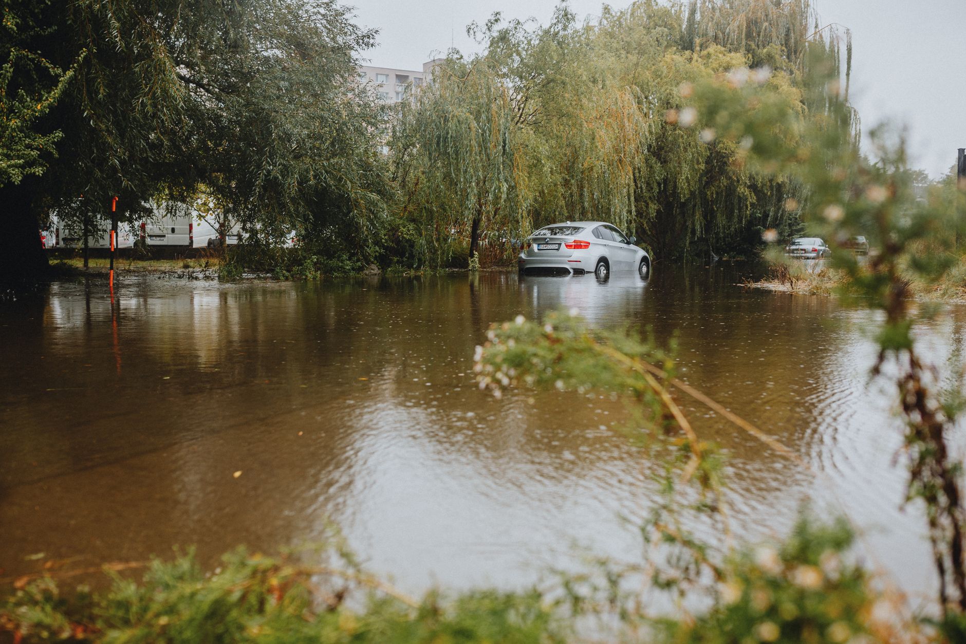 Waymo cars ignore flood warnings in cities