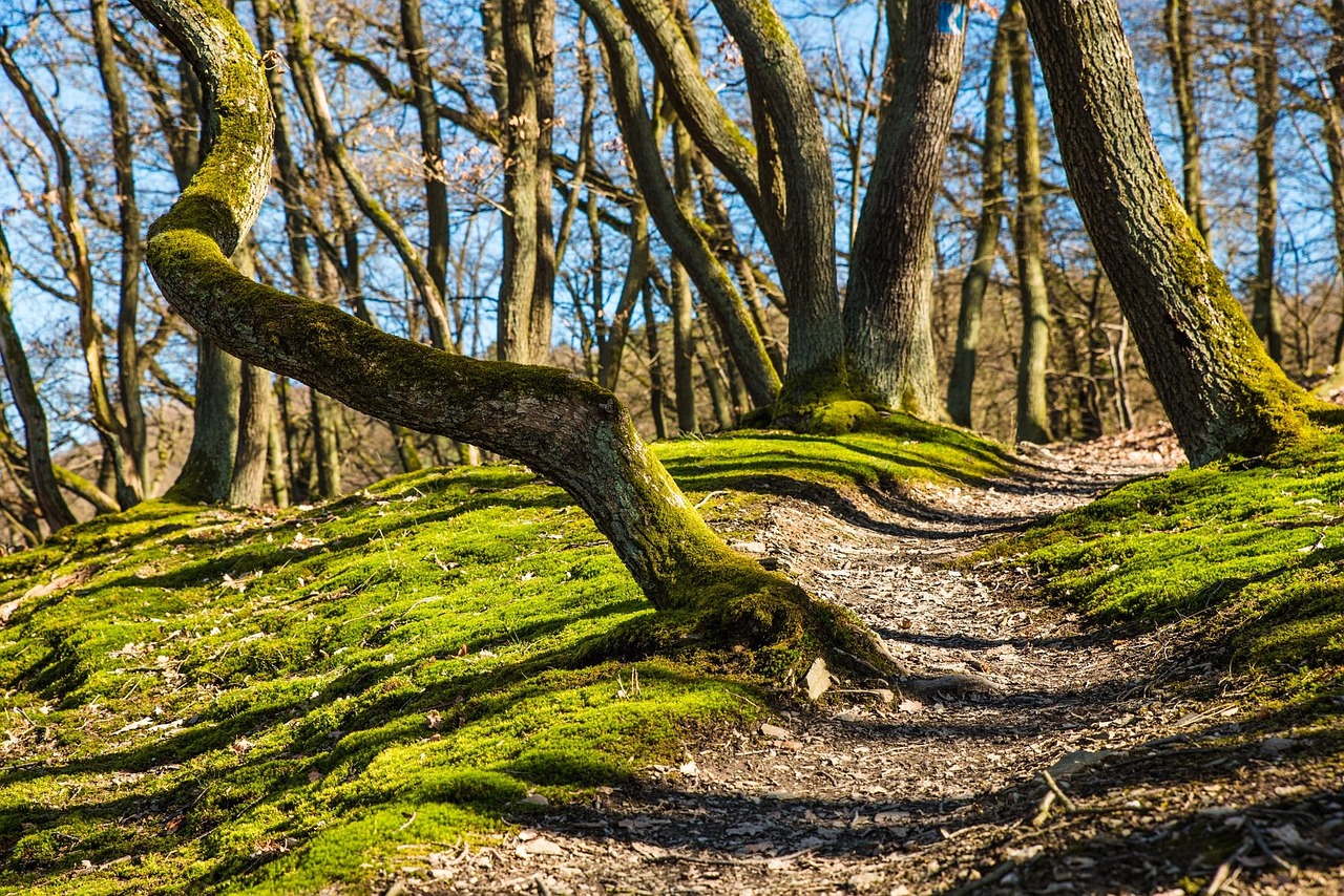 Decoding the Path to Purchase: Mastering Marketing Attribution for E-Commerce Success