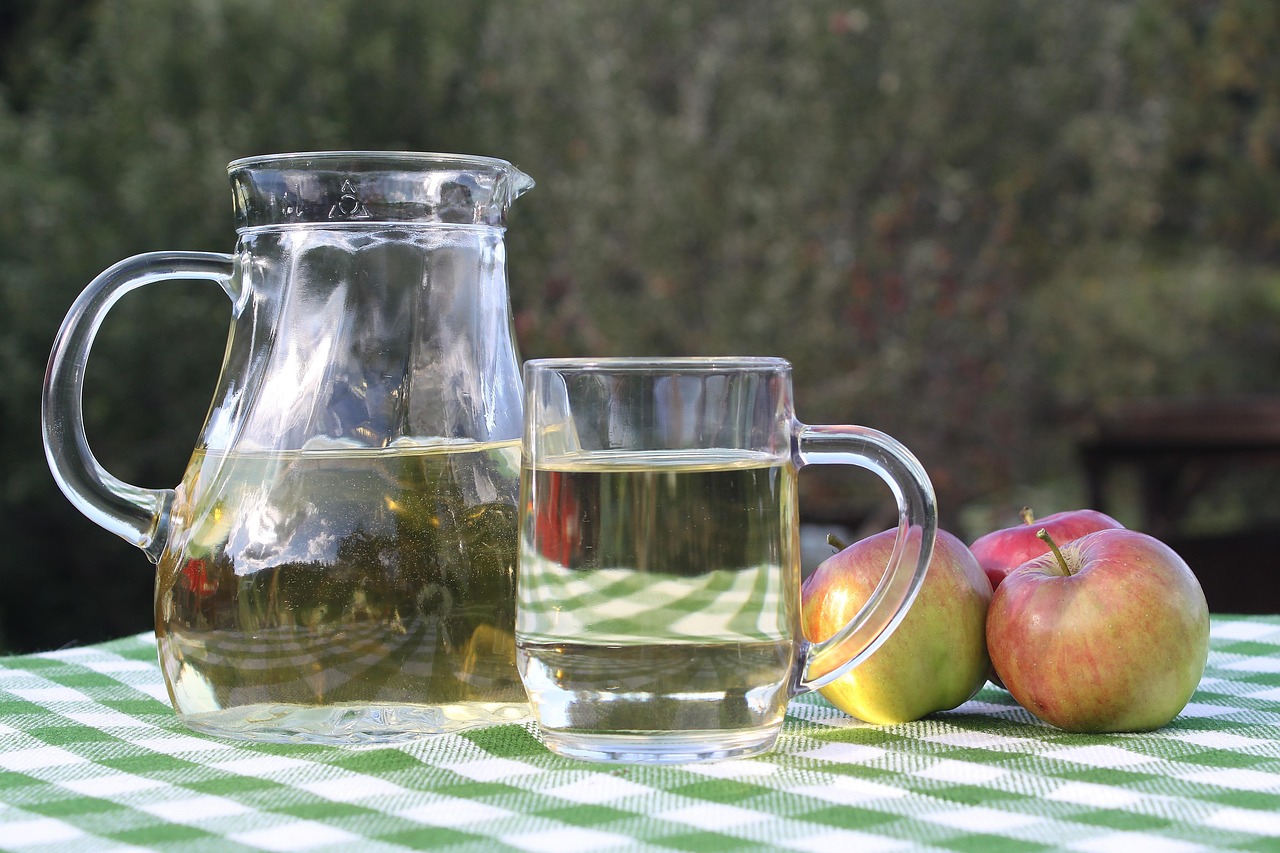 What are the most important benefits of disposable food packaging?