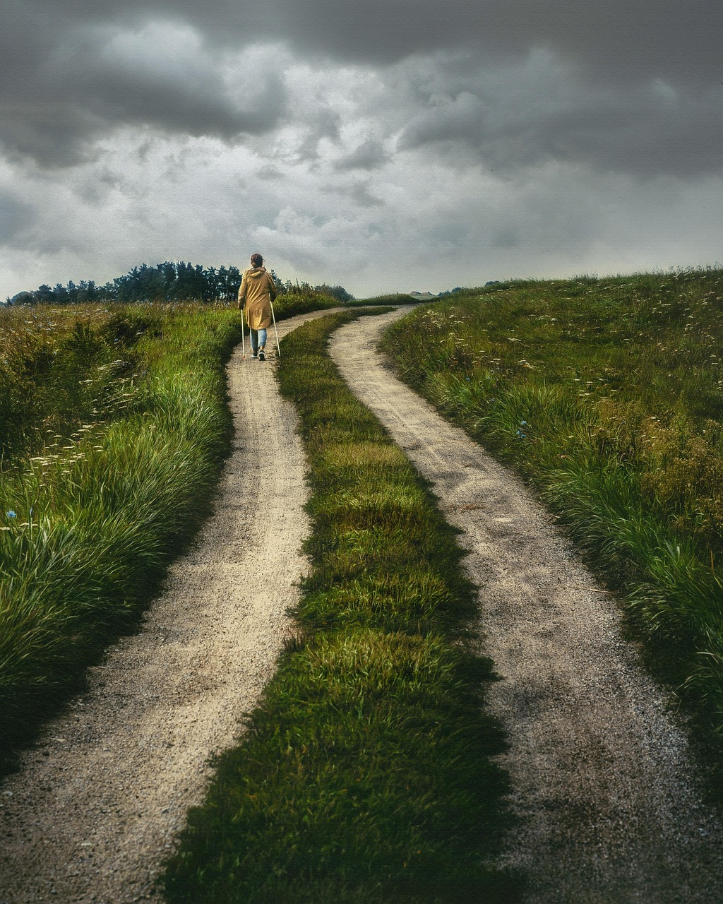 How to Master Business in 6 Days: Your Accelerated Path to Foundational Success