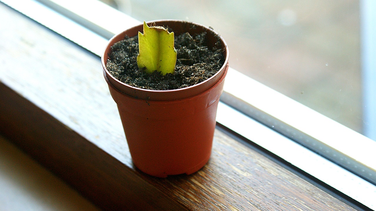 The Future of Small Business: What to Expect in a Rapidly Evolving Landscape