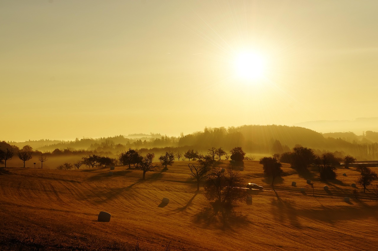 Expert Advice on Network and Beyond: Navigating Tomorrow’s Digital Landscape