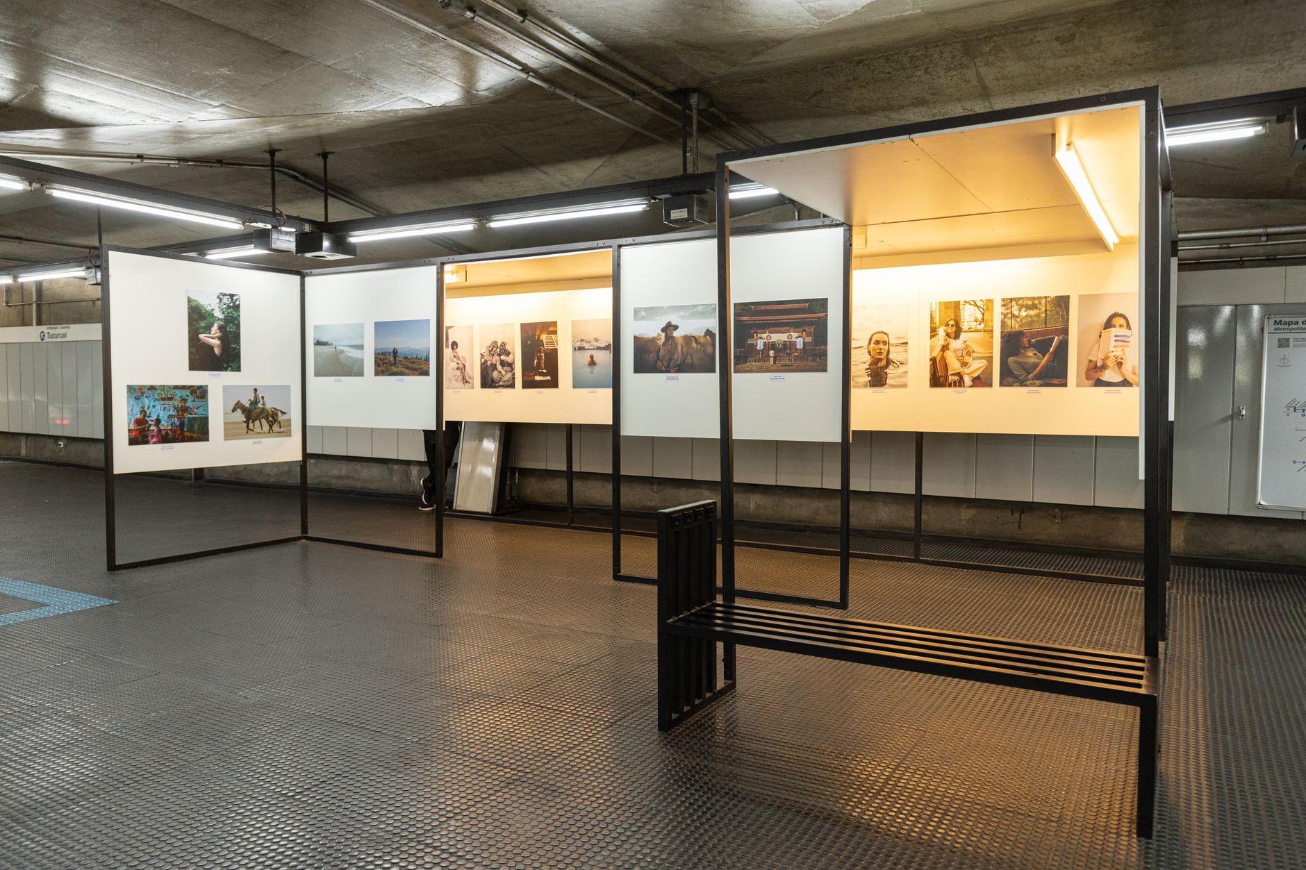 Art Rebels on Display in New Exhibit