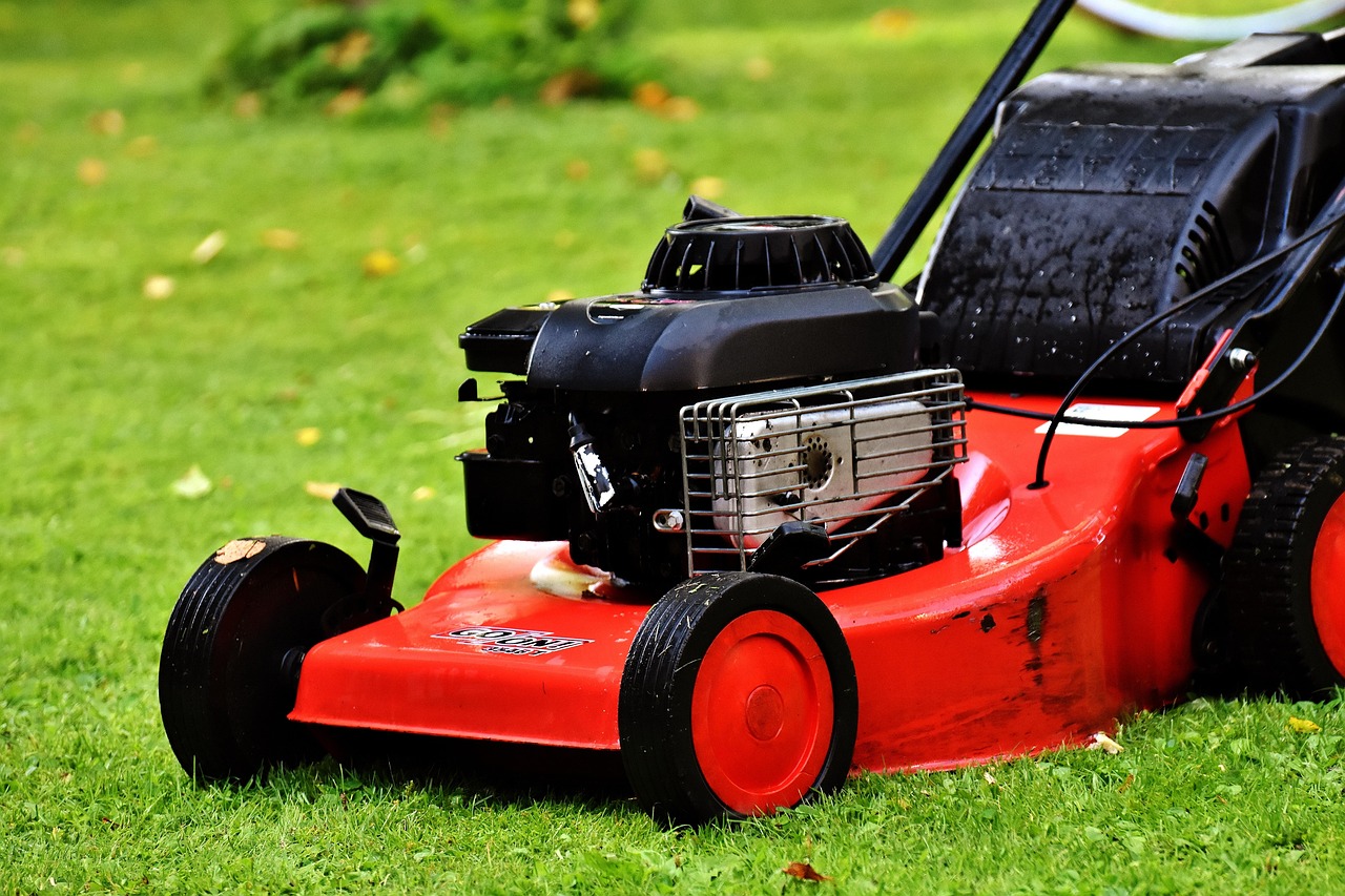 The benefits of a low-mow lawn