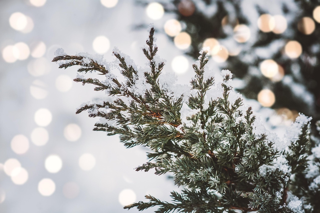 The Benefits of Working with a Local Electrician Cedar Park