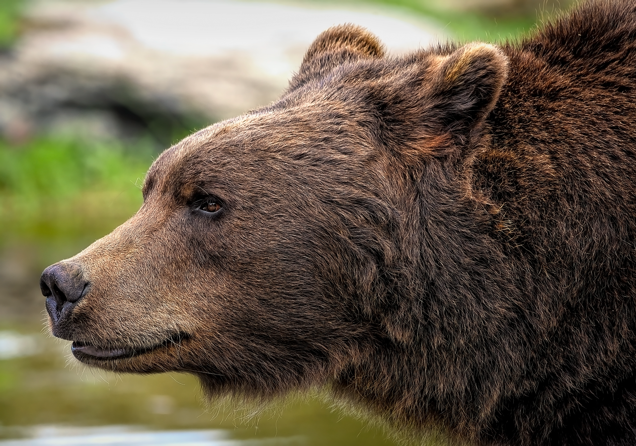 Home Sellers Bear Some Closing Costs