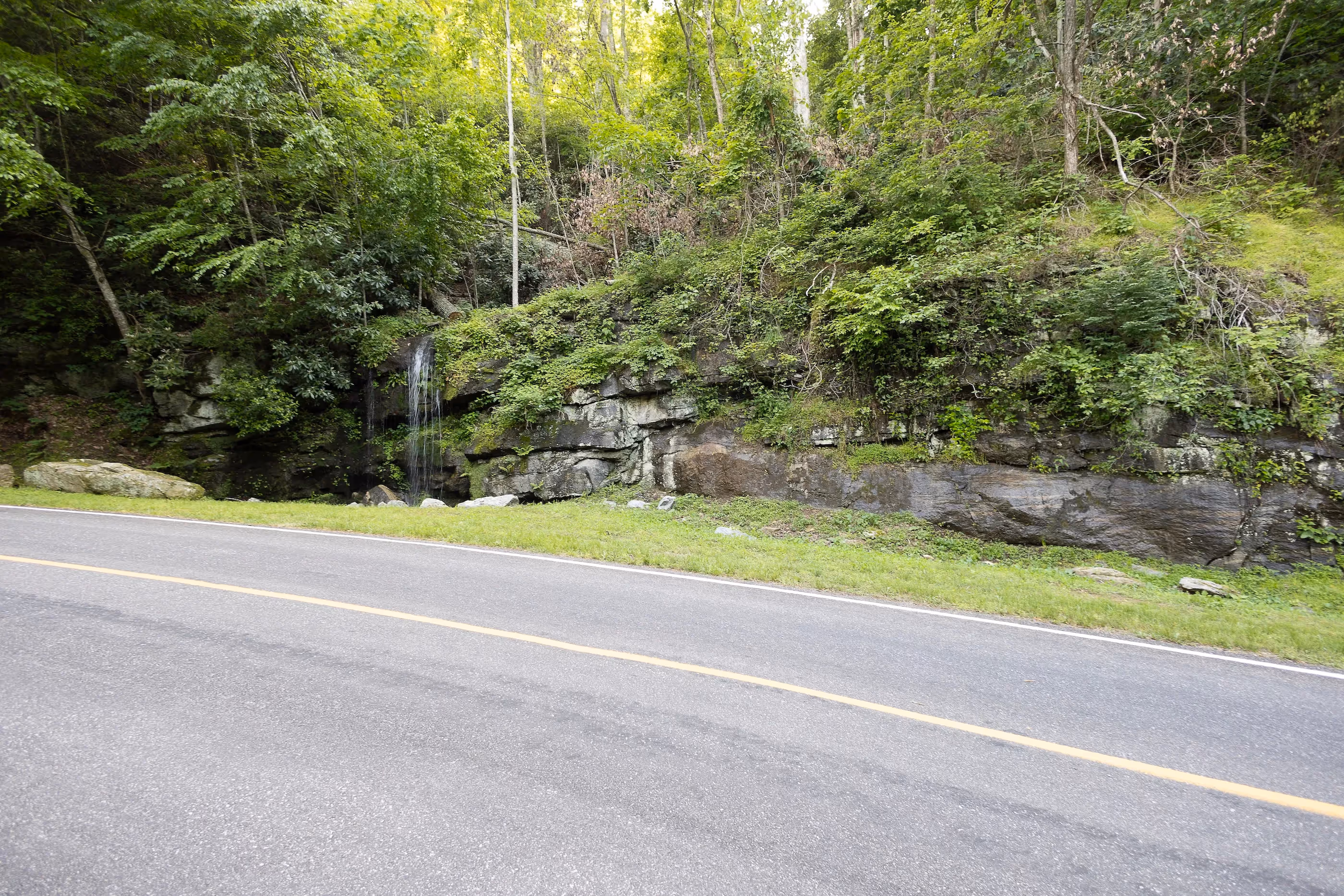 Why Some Landowners Opt to Sell Their Land Quickly