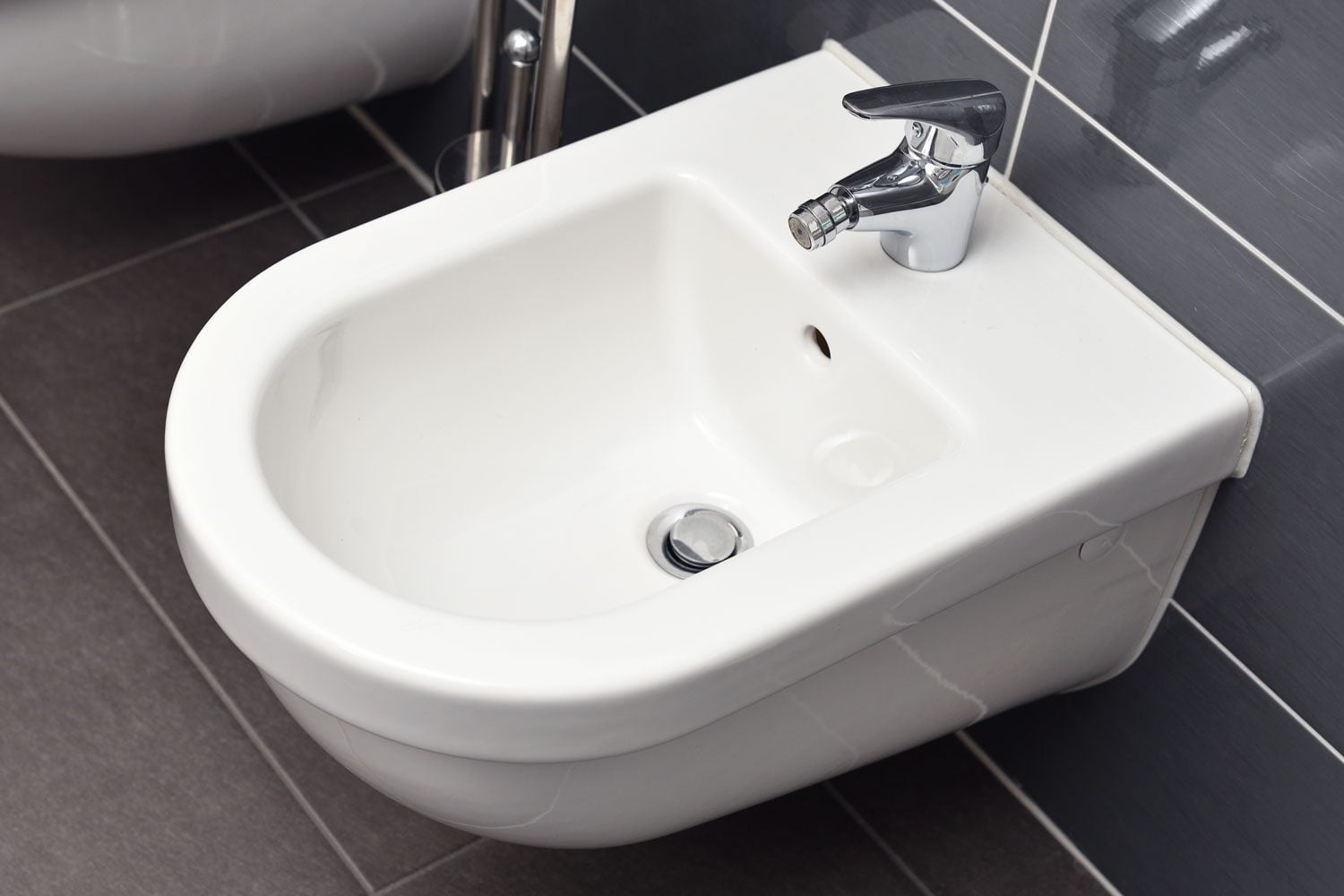 Bidet Systems: Comfort Hygiene Use and Installing