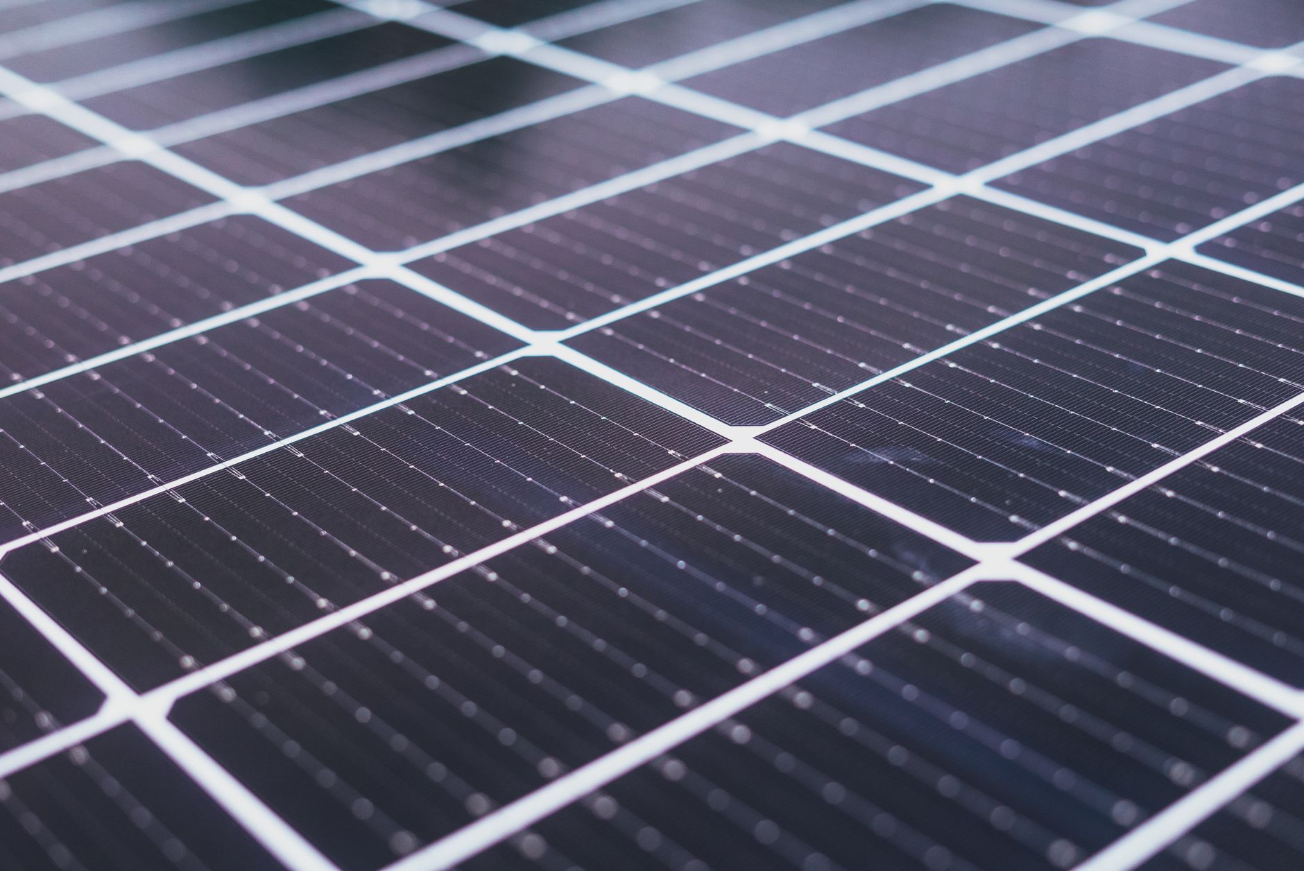 Professional Solar Panel Bird Proofing Services in Menifee