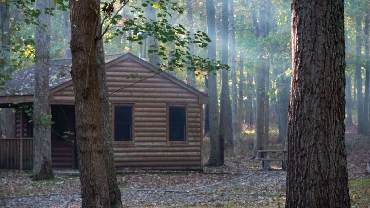 What Does the Interlochen Abuse Report Reveal About Past Failures and Future Reforms? What Does the Interlochen Abuse Report Reveal About Past Failures and Future Reforms? - interlochen abuse