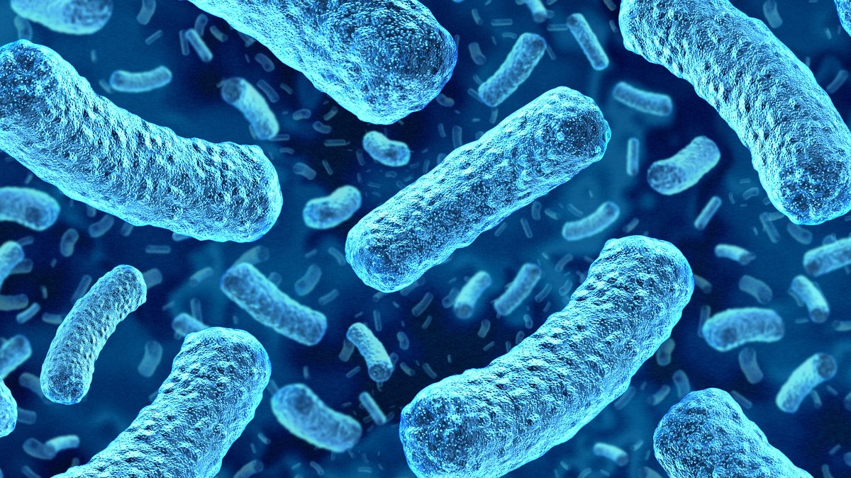 Cyclospora cases spark fears of deadlier outbreaks - food safety