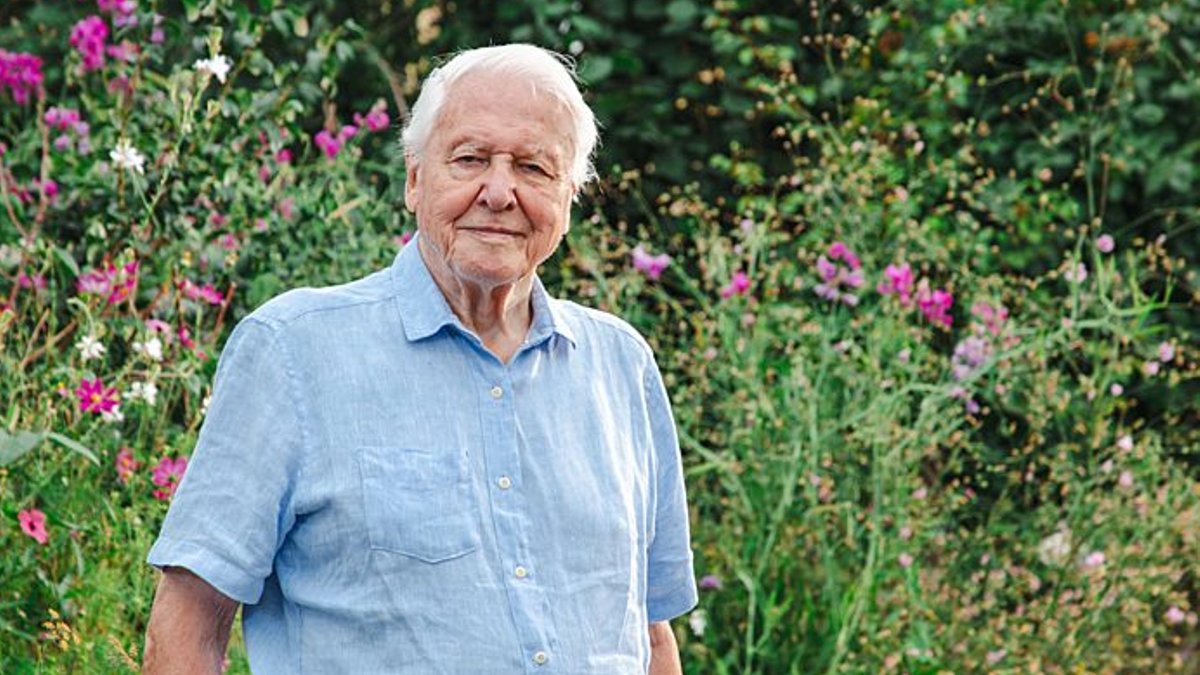 Attenborough explores the secret life of gardens Attenborough explores the secret life of gardens - garden wildlife