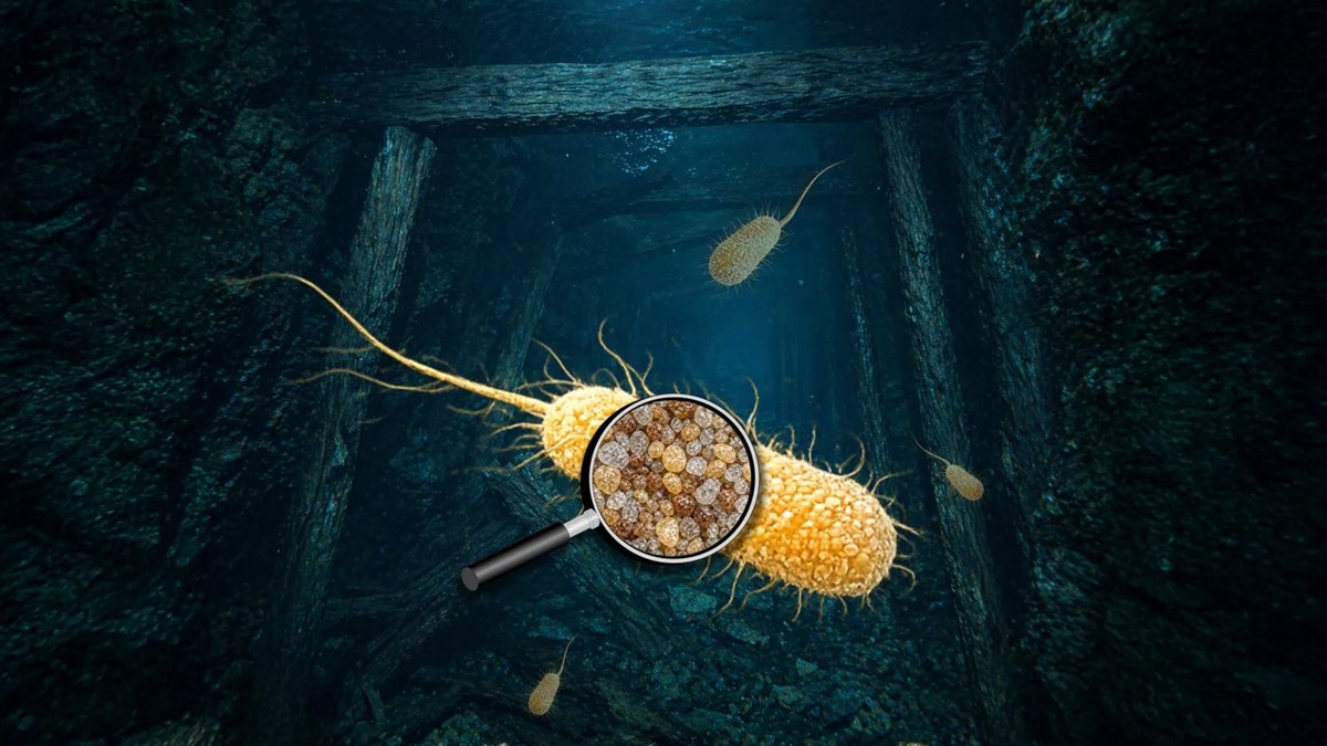 Can Bacteria Lock Away Toxic Uranium Forever? Can Bacteria Lock Away Toxic Uranium Forever? - uranium cleanup