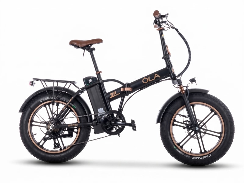 Ola Electrofold EFB10 Noir