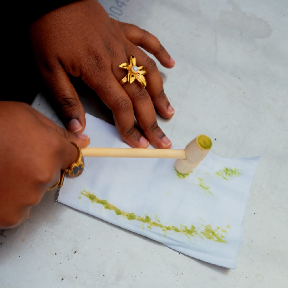 20260129 parcelle atelier blancs 63