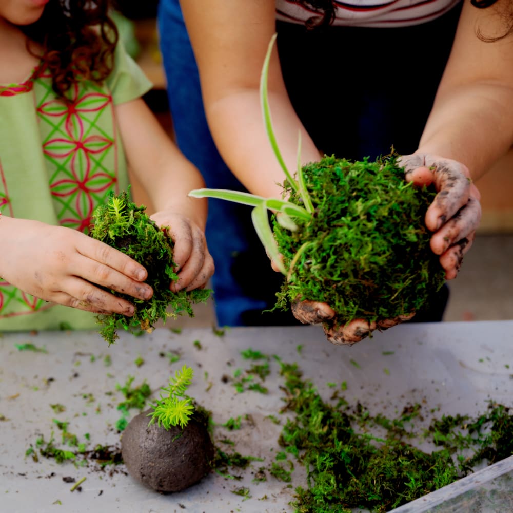 20260307 parcelle kokodama maison des petits294(c) Nicolas Melemis