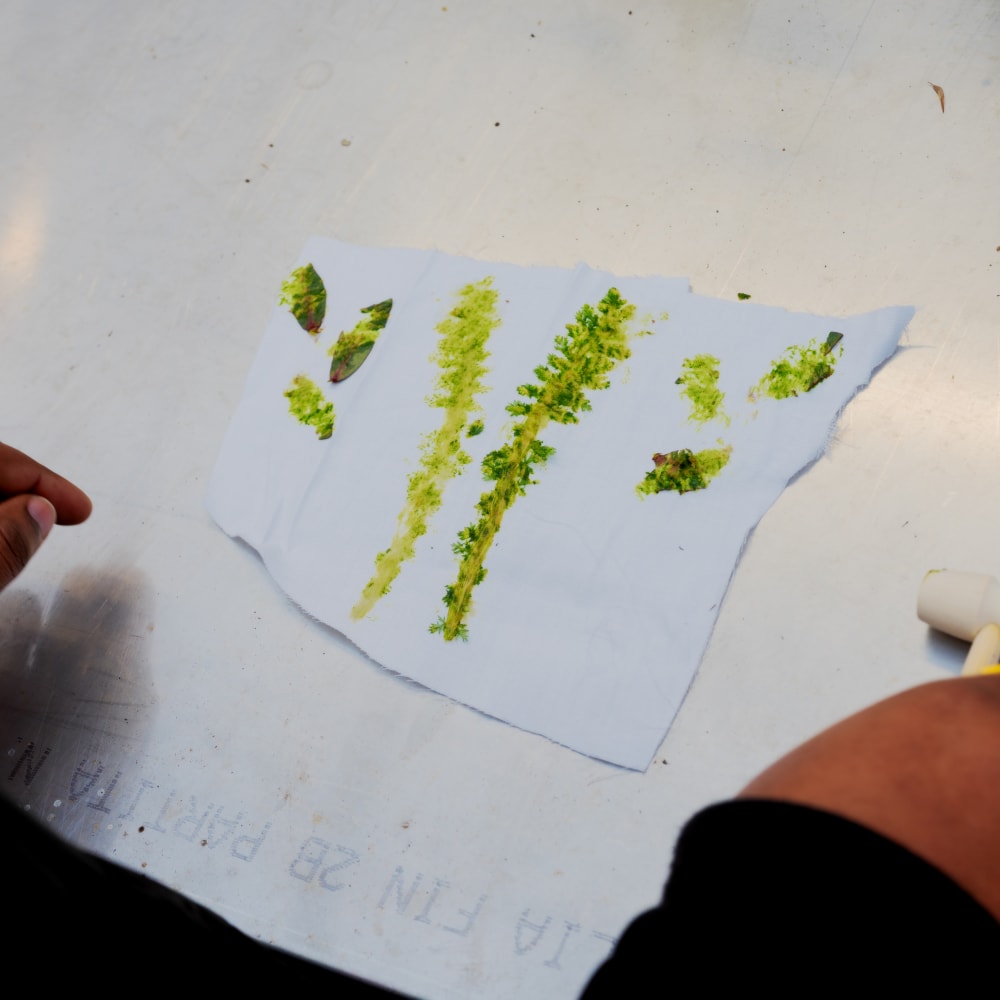 20260129 parcelle atelier blancs 92