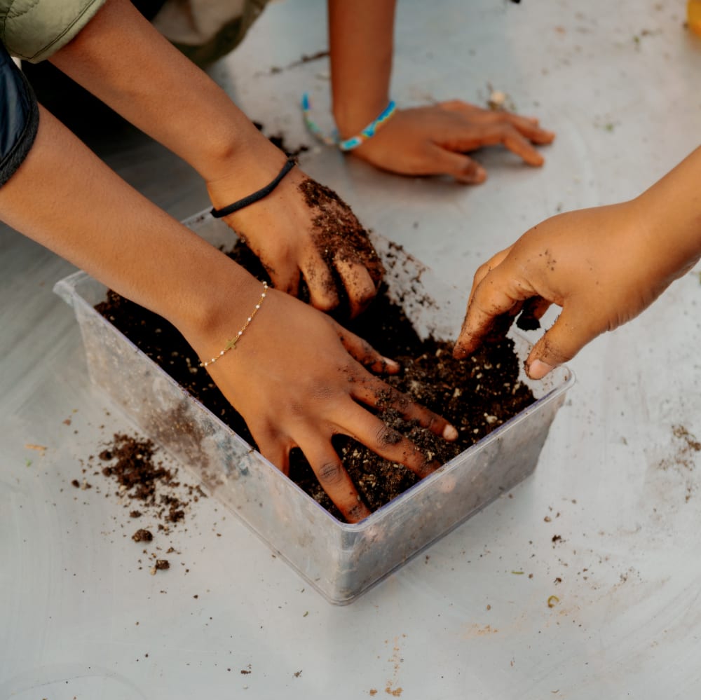 20260307 parcelle kokodama maison des petits143(c) Nicolas Melemis