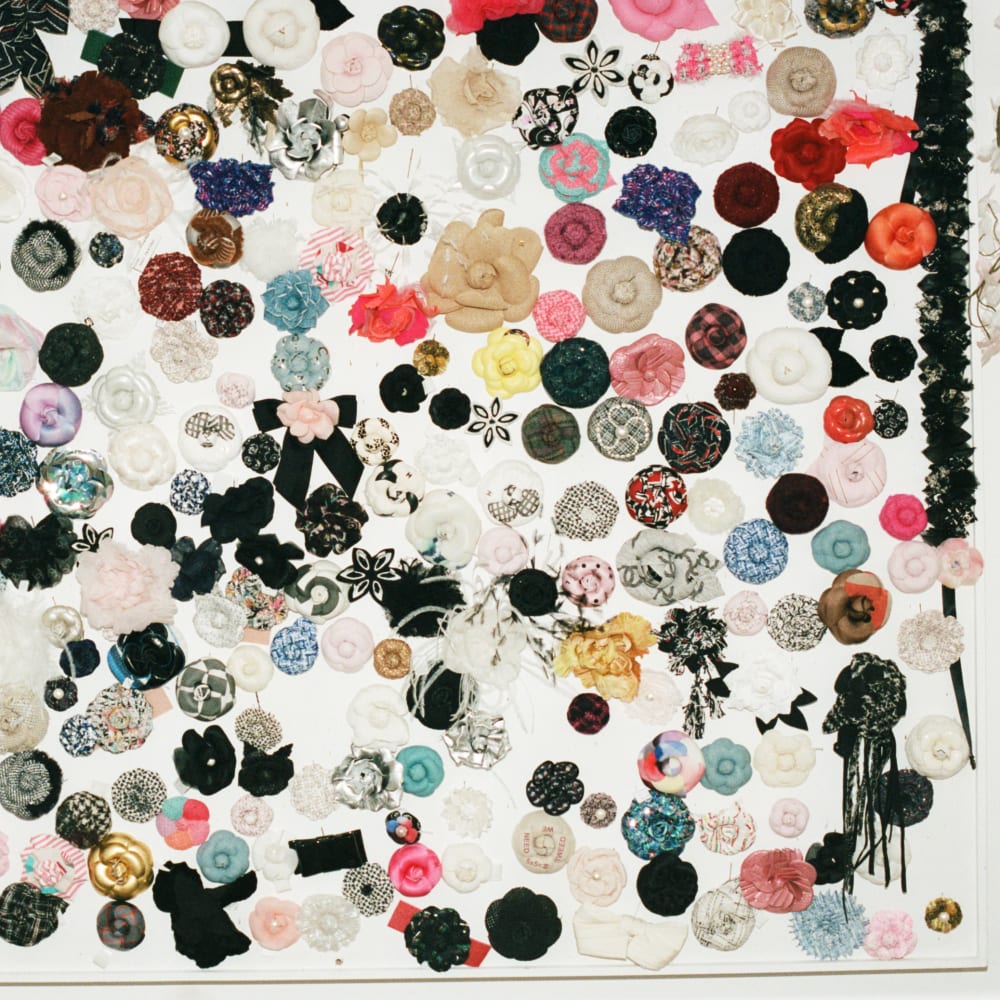 Mur de camélias by le19M x Angele Châtenet