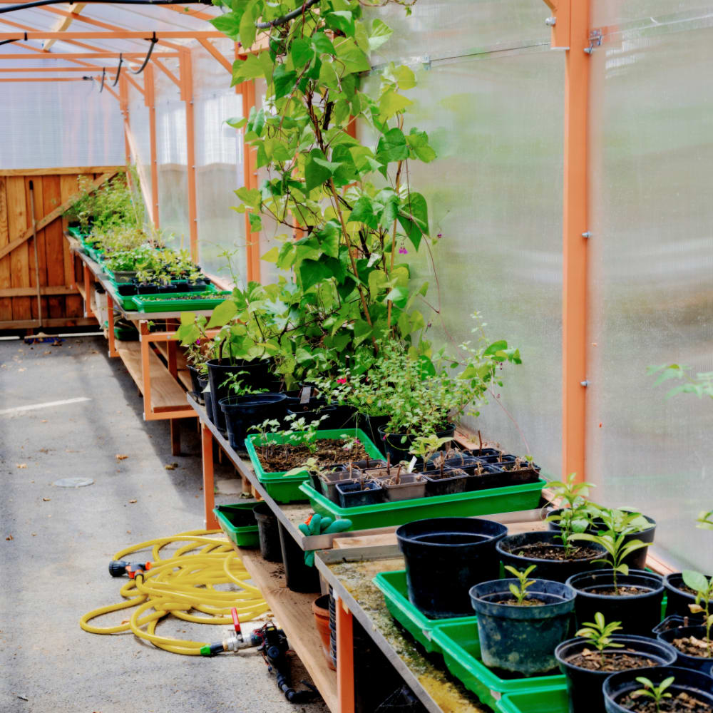 20250601 parcelle anniversaire serigraphie265(c) le19M   Nicolas Melemis