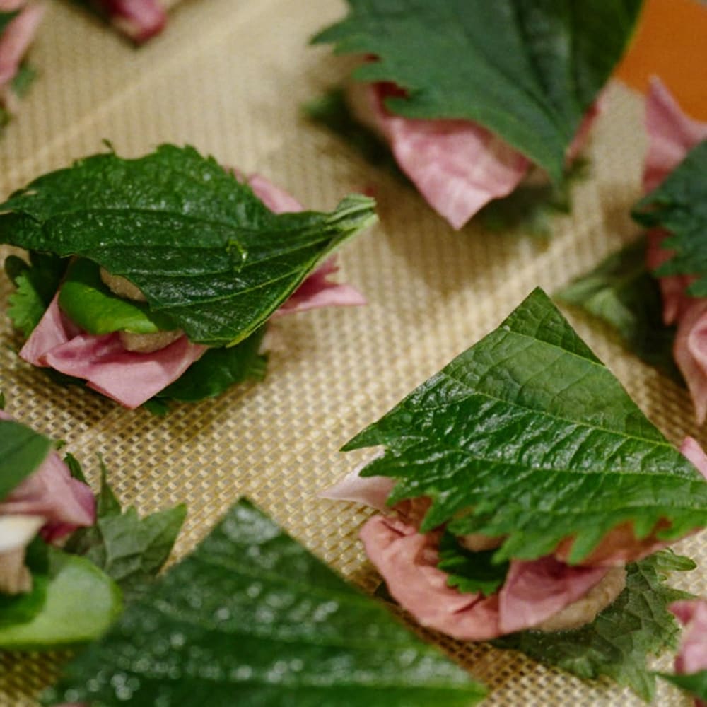 le Café du 19M cuisine japonaise
