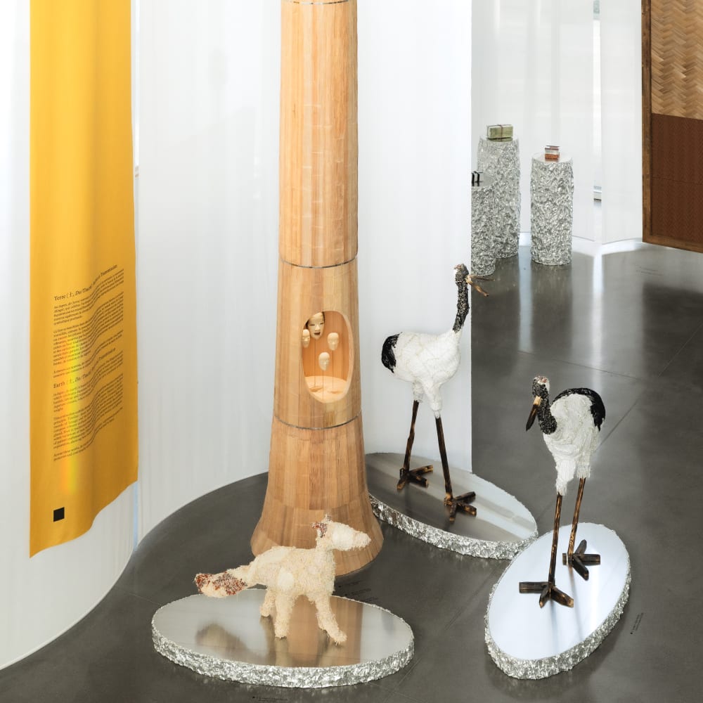 Vue d'exposition de Beyond our Horizons de Tokyo à Paris   section Terre