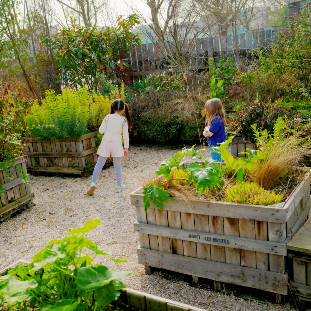 20260307 parcelle kokodama maison des petits67(c) Nicolas Melemis