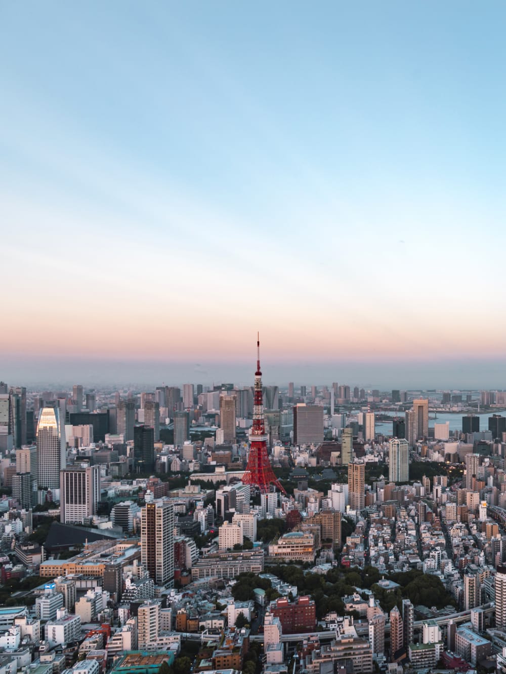 Tokyo skyline Photo Yukinori Hasumi (1)