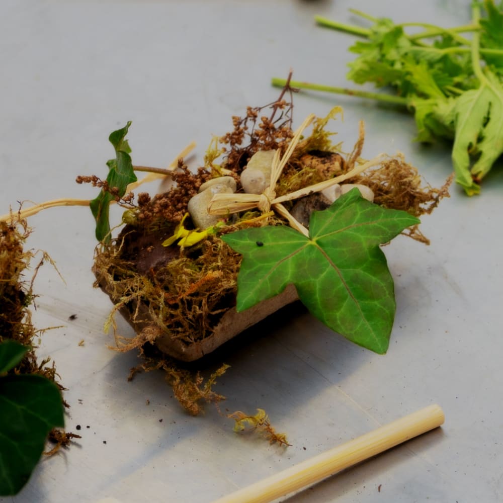 Pratiques habitées 4x5