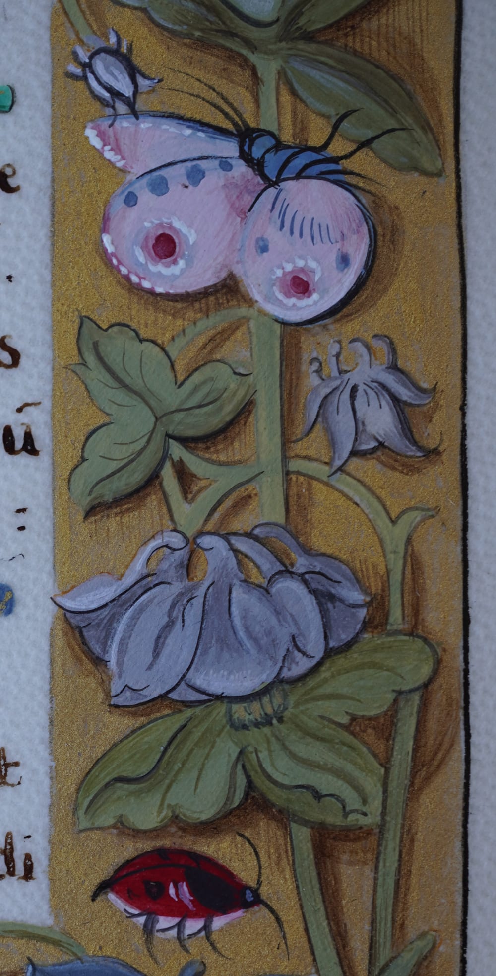 Miniatures florales d'Alice Cornière