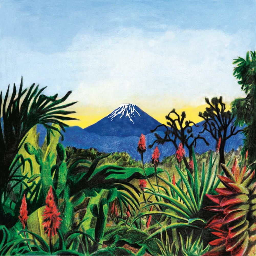 ENCRES sur papier   pour Lucien & the Kimono 2Orchestra