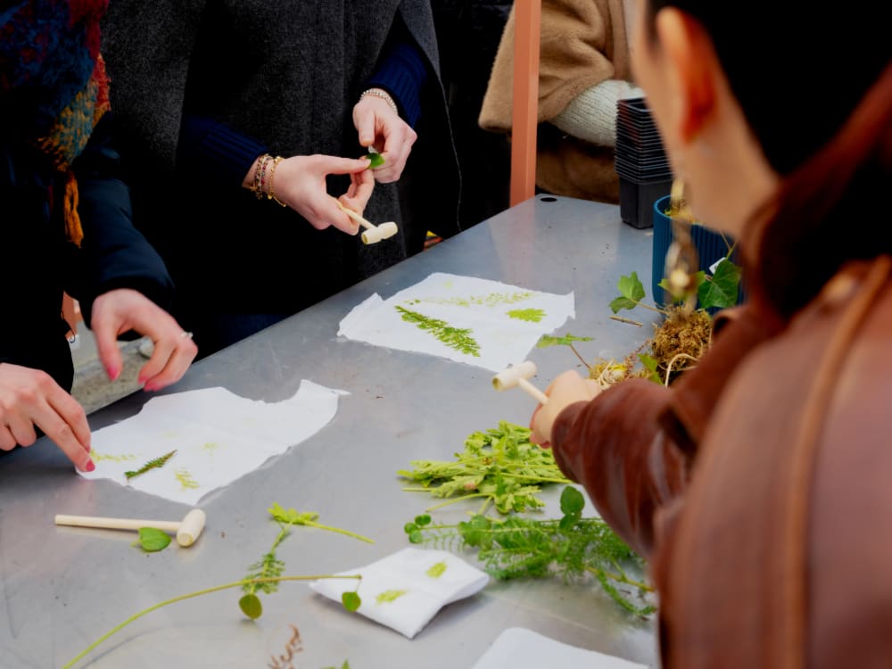 20260129 parcelle atelier blancs 81