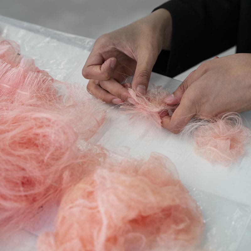 19M JUIN2021 PALOMA JPEG BD 1