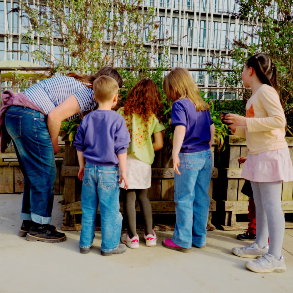 20260307 parcelle kokodama maison des petits371(c) Nicolas Melemis