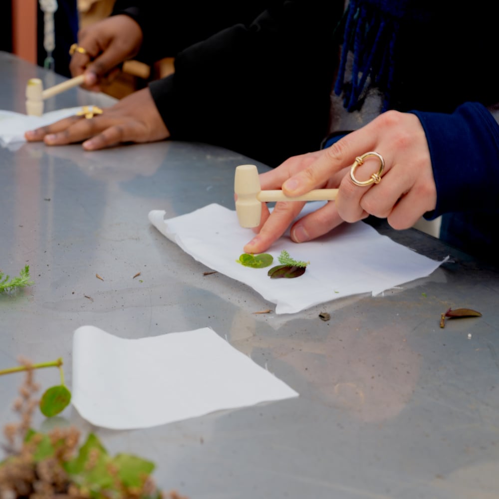 20260129 parcelle atelier blancs 48