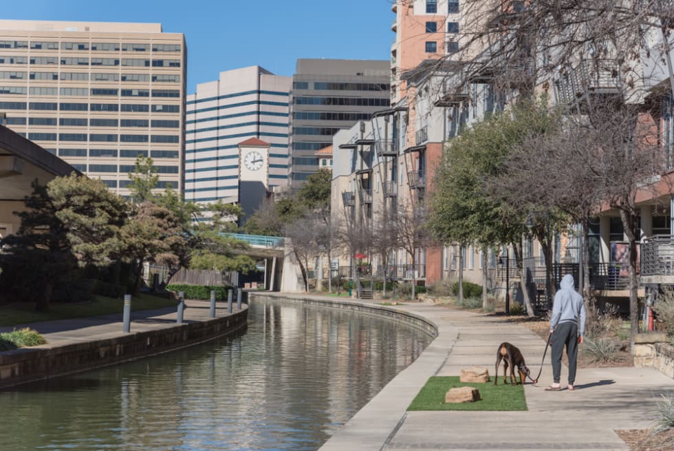 Back view of man in hoody walking dog along Mandalay Canal in Irving, Texas, USA.