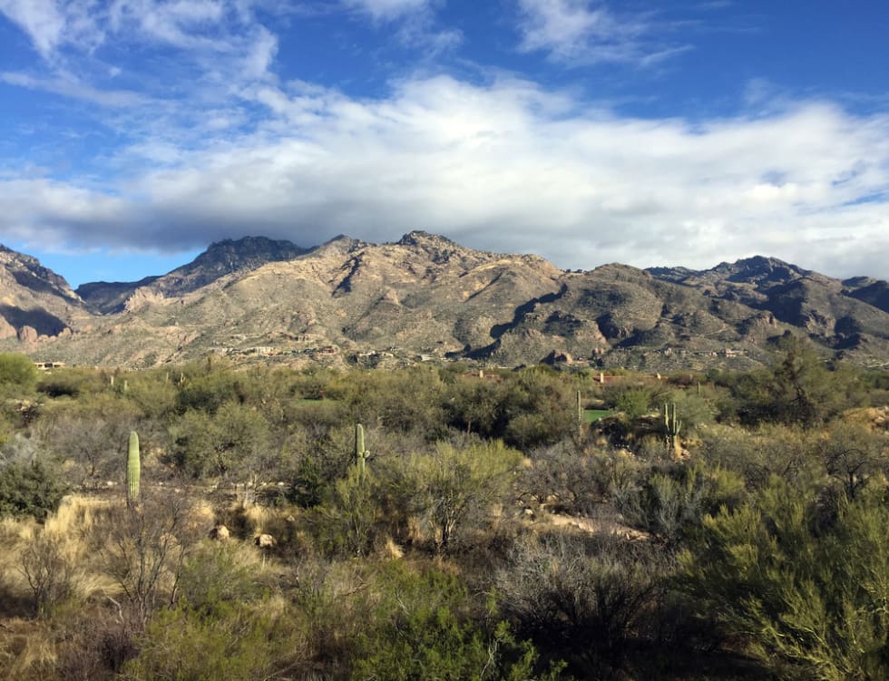 14 Best Neighborhoods in Tucson, AZ [2024]