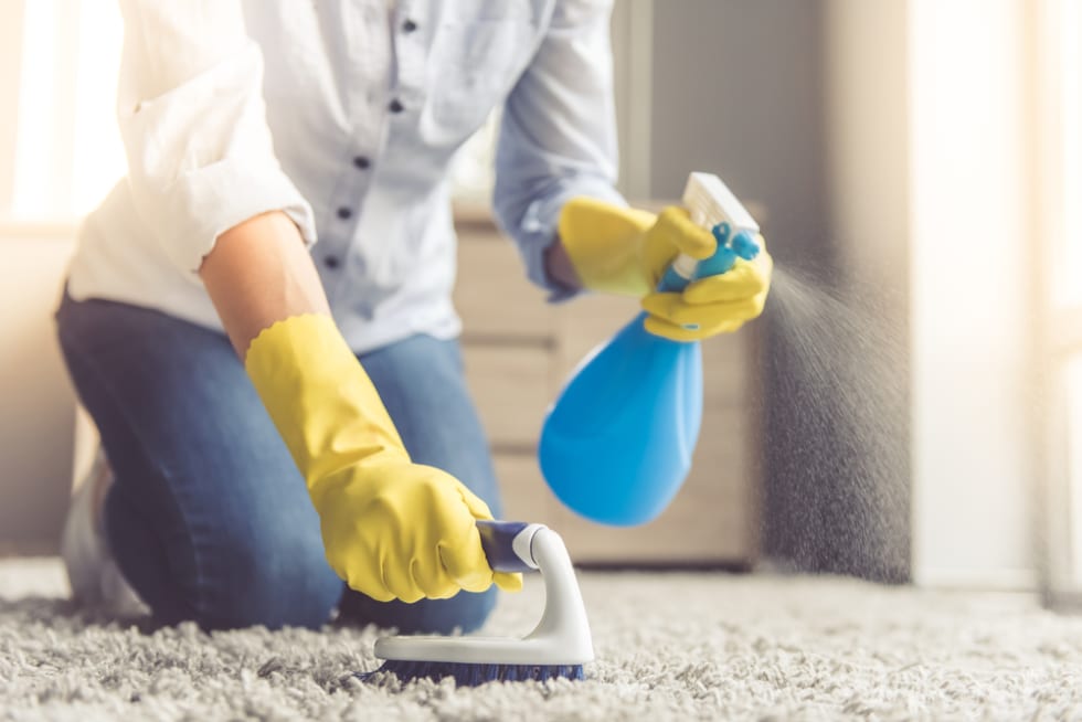 Cropped image of beautiful young woman using a spray and a brush while cleaning carpet in the house