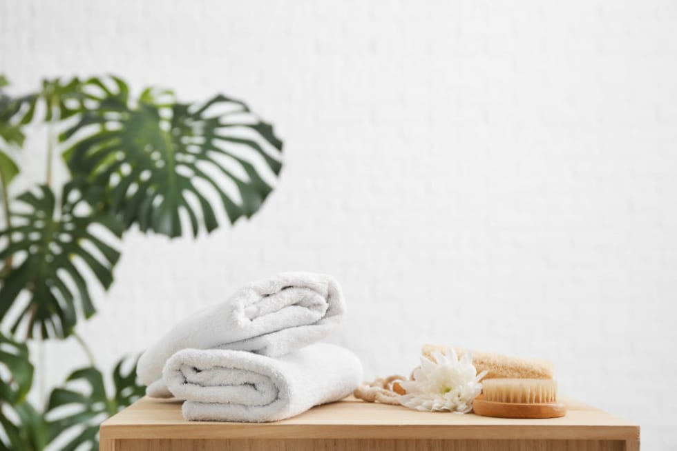 How Often Do You Need to Replace Your Bathroom Essentials?