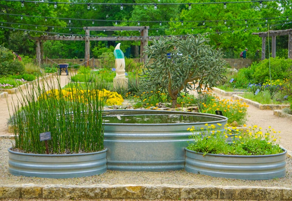 Lady Bird Johnson Wildflower Center