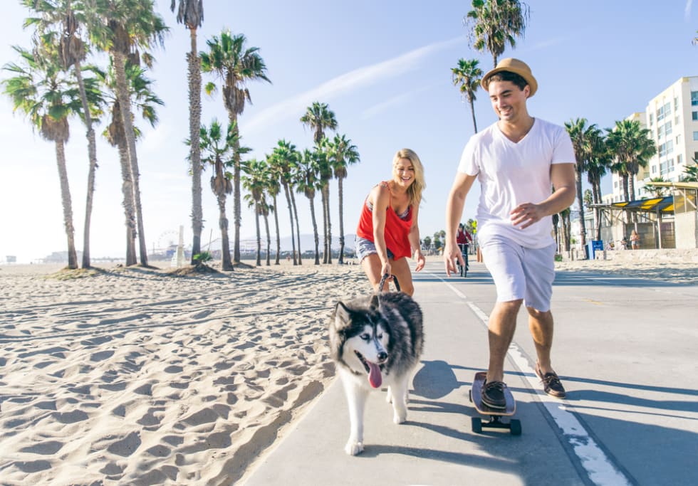 Beautiful couple skating with dog on ocean walk front during a summer vacation - Cheerful happy friends doing sport activity on the beach