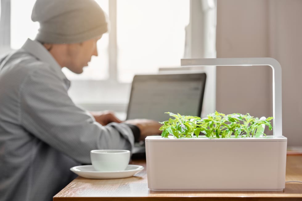 growing new plant in modern smart lab on work place with working man