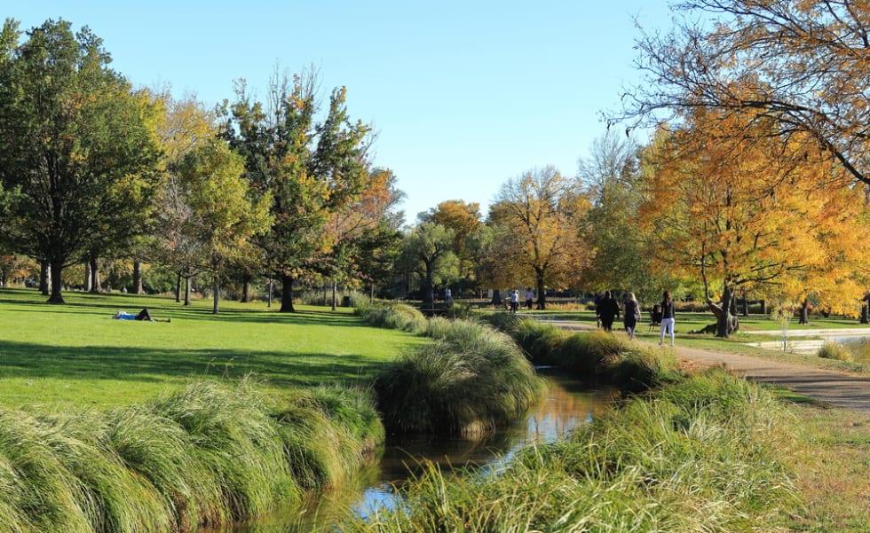 Fall trees on a sunny day in Washington Park - Denver Colorado